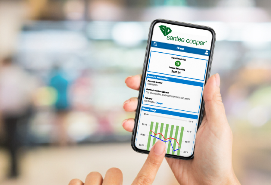 Billing Programs for the