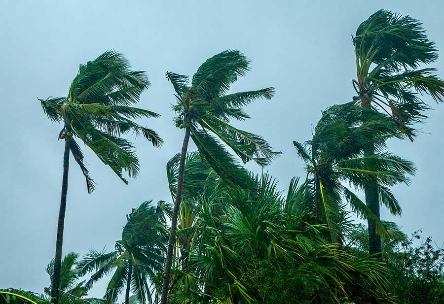 Tips to Help Prep for 2023 Hurricane Season