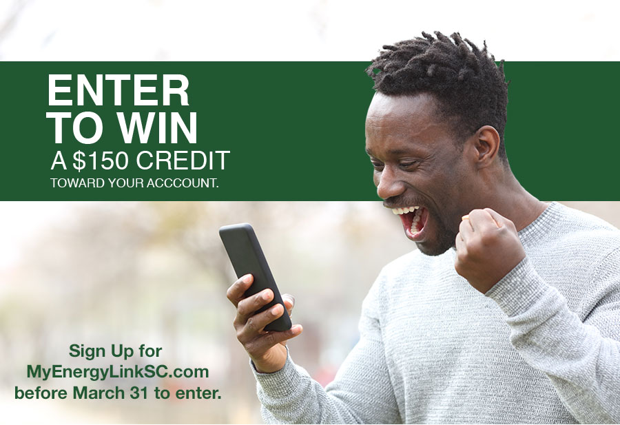 It’s Easy to Manage Your Energy Service Online with Santee Cooper’s MyEnergyLink
