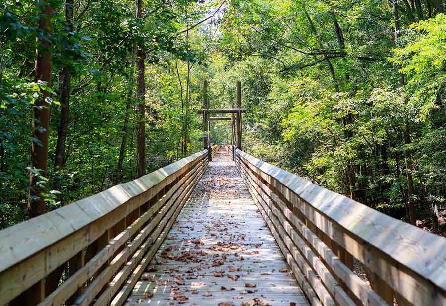 Hiking the Palmetto Trail is South Carolina at its Finest